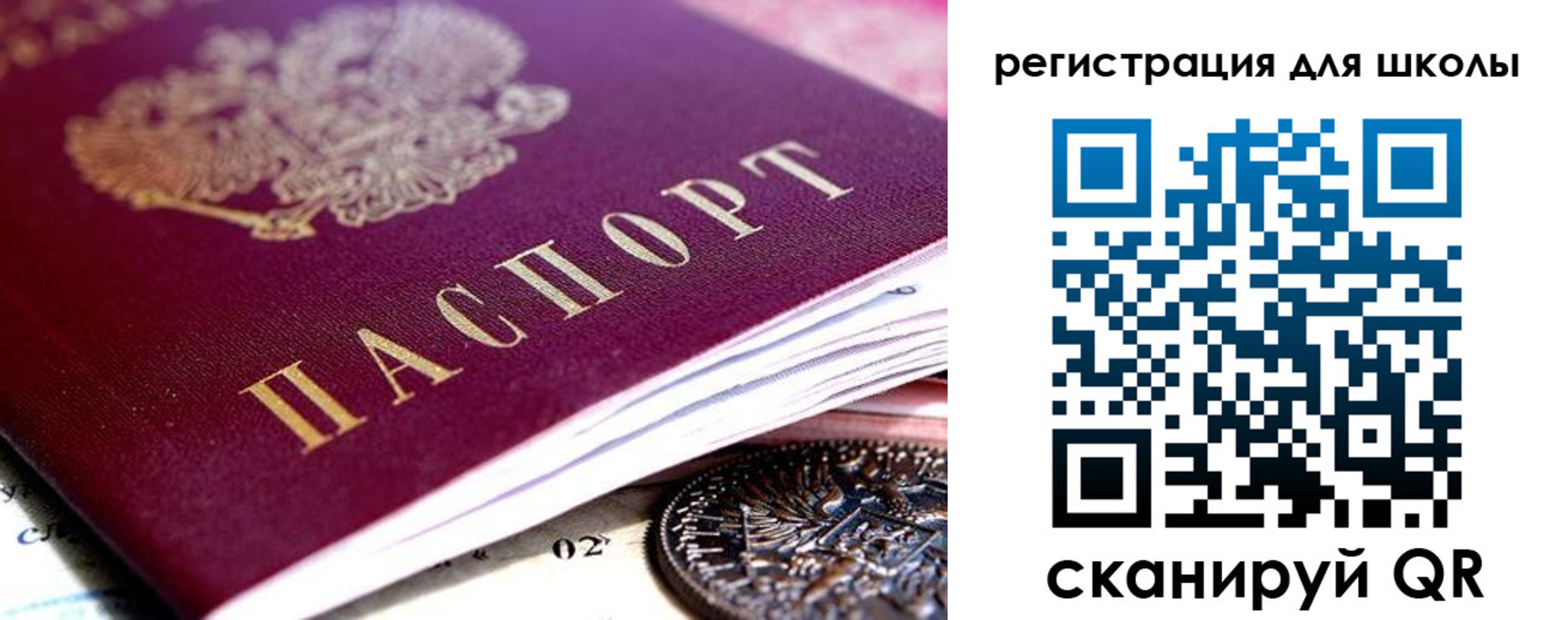 временная регистрация в квартире в Светлогорске